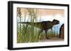 Tyrannosaurus Rex Hunting for its Next Meal-null-Framed Art Print