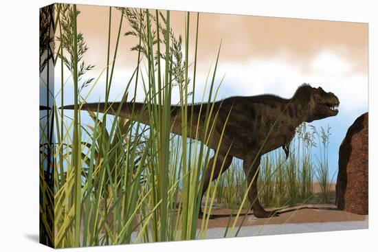 Tyrannosaurus Rex Hunting for its Next Meal-null-Stretched Canvas