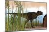 Tyrannosaurus Rex Hunting for its Next Meal-null-Mounted Premium Giclee Print