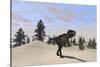 Tyrannosaurus Rex Hunting for its Next Meal-null-Stretched Canvas