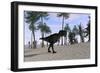 Tyrannosaurus Rex Hunting for its Next Meal-null-Framed Premium Giclee Print