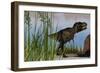 Tyrannosaurus Rex Hunting for its Next Meal-null-Framed Art Print