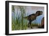 Tyrannosaurus Rex Hunting for its Next Meal-null-Framed Art Print