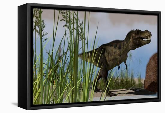Tyrannosaurus Rex Hunting for its Next Meal-null-Framed Stretched Canvas