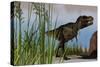 Tyrannosaurus Rex Hunting for its Next Meal-null-Stretched Canvas