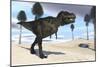 Tyrannosaurus Rex Hunting for its Next Meal-null-Mounted Premium Giclee Print