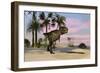 Tyrannosaurus Rex Hunting for its Next Meal-null-Framed Art Print