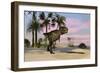 Tyrannosaurus Rex Hunting for its Next Meal-null-Framed Premium Giclee Print