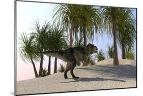 Tyrannosaurus Rex Hunting for its Next Meal-null-Mounted Art Print