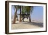 Tyrannosaurus Rex Hunting for its Next Meal-null-Framed Art Print