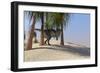 Tyrannosaurus Rex Hunting for its Next Meal-null-Framed Art Print