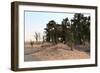 Tyrannosaurus Rex Hunting in a Desert Environment-null-Framed Art Print