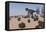 Tyrannosaurus Rex Hunting in a Desert Environment-null-Framed Stretched Canvas