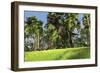 Tyrannosaurus Rex Hunting in a Tropical Landscape-null-Framed Art Print