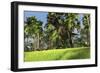 Tyrannosaurus Rex Hunting in a Tropical Landscape-null-Framed Art Print