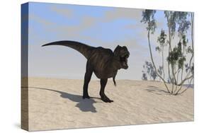 Tyrannosaurus Rex Hunting in an Open Desert-null-Stretched Canvas