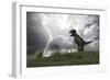 Tyrannosaurus Rex Hunting in an Open Field During a Lightning Storm-null-Framed Art Print