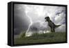 Tyrannosaurus Rex Hunting in an Open Field During a Lightning Storm-null-Framed Stretched Canvas