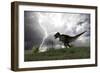 Tyrannosaurus Rex Hunting in an Open Field During a Lightning Storm-null-Framed Art Print