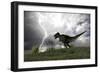 Tyrannosaurus Rex Hunting in an Open Field During a Lightning Storm-null-Framed Art Print