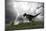 Tyrannosaurus Rex Hunting in an Open Field During a Lightning Storm-null-Mounted Art Print