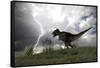 Tyrannosaurus Rex Hunting in an Open Field During a Lightning Storm-null-Framed Stretched Canvas