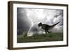 Tyrannosaurus Rex Hunting in an Open Field During a Lightning Storm-null-Framed Premium Giclee Print