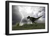 Tyrannosaurus Rex Hunting in an Open Field During a Lightning Storm-null-Framed Premium Giclee Print
