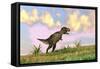 Tyrannosaurus Rex Hunting in an Open Field-null-Framed Stretched Canvas