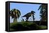 Tyrannosaurus Rex Hunting in an Open Field-null-Framed Stretched Canvas