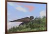 Tyrannosaurus Rex Hunting in an Open Field-null-Framed Art Print