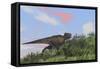 Tyrannosaurus Rex Hunting in an Open Field-null-Framed Stretched Canvas
