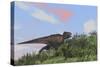 Tyrannosaurus Rex Hunting in an Open Field-null-Stretched Canvas