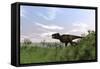 Tyrannosaurus Rex Hunting in an Open Field-null-Framed Stretched Canvas