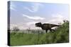 Tyrannosaurus Rex Hunting in an Open Field-null-Stretched Canvas