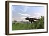 Tyrannosaurus Rex Hunting in an Open Field-null-Framed Art Print