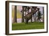 Tyrannosaurus Rex Hunting in Grasslands-null-Framed Art Print