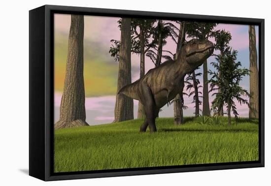 Tyrannosaurus Rex Hunting in Grasslands-null-Framed Stretched Canvas