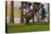 Tyrannosaurus Rex Hunting in Grasslands-null-Stretched Canvas