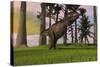 Tyrannosaurus Rex Hunting in Grasslands-null-Stretched Canvas