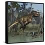 Tyrannosaurus Rex Hunting in Prehistoric Wetlands-Stocktrek Images-Framed Stretched Canvas