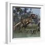 Tyrannosaurus Rex Hunting in Prehistoric Wetlands-Stocktrek Images-Framed Art Print