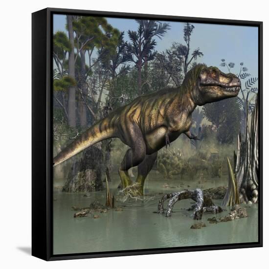 Tyrannosaurus Rex Hunting in Prehistoric Wetlands-Stocktrek Images-Framed Stretched Canvas