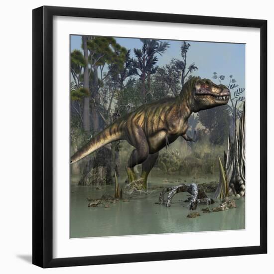 Tyrannosaurus Rex Hunting in Prehistoric Wetlands-Stocktrek Images-Framed Art Print