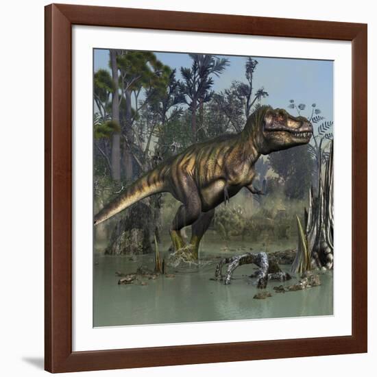 Tyrannosaurus Rex Hunting in Prehistoric Wetlands-Stocktrek Images-Framed Art Print