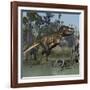 Tyrannosaurus Rex Hunting in Prehistoric Wetlands-Stocktrek Images-Framed Art Print