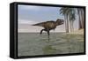 Tyrannosaurus Rex Hunting in Shallow Water-null-Framed Stretched Canvas
