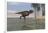 Tyrannosaurus Rex Hunting in Shallow Water-null-Framed Art Print