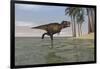 Tyrannosaurus Rex Hunting in Shallow Water-null-Framed Art Print