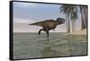 Tyrannosaurus Rex Hunting in Shallow Water-null-Framed Stretched Canvas